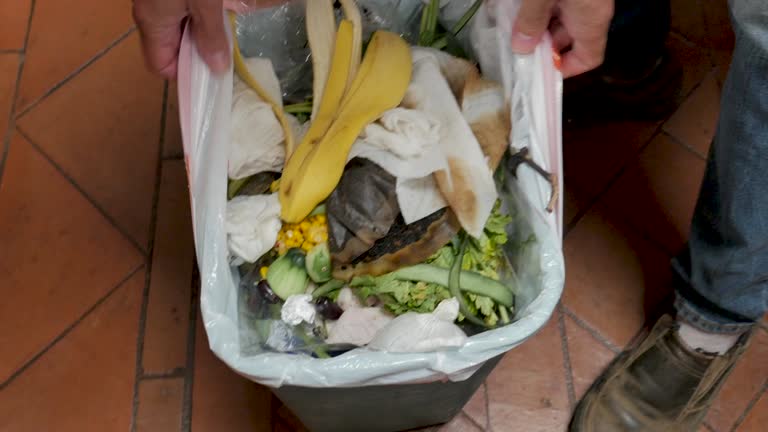 Retail Junk Removal in Newnan, GA